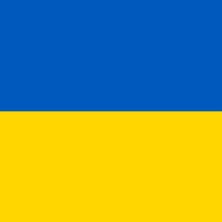 Логотип телеграм -каналу chaykazvuk — ChaykaZvuk 🇺🇦
