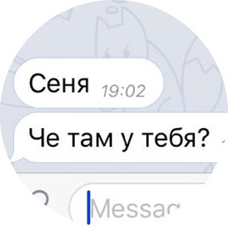 Логотип телеграм канала @che_tam — Че там у Ольховского?