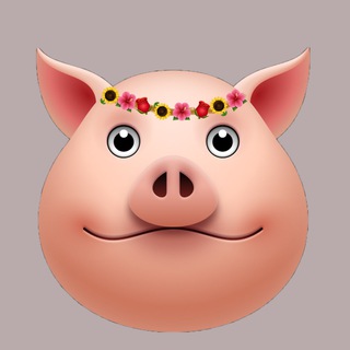 Logo of telegram channel cheapshotmeme — Cheapshot meme’s