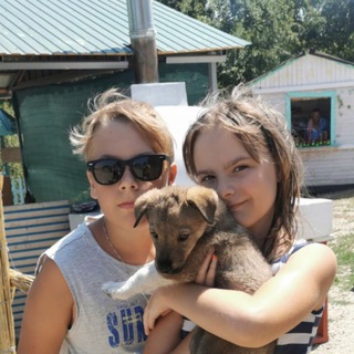 Логотип телеграм канала @cheburzilki — Чебурзилки