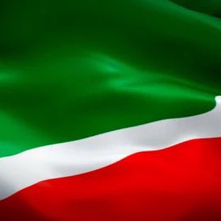 Логотип телеграм канала @chechen_video — Чечен Видео