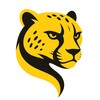Logo of telegram channel cheetahtool — Cheetah Tool Team