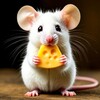 Telegram channel Бесплатный Сыр | Кешбэк за отзыв | WB OZON | Бесплатные товары | Товары за отзыв | Халява logo