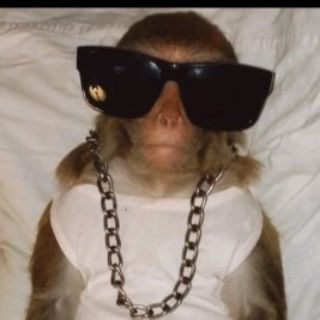 Логотип телеграм канала @chegoblya — Николаич