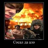 Логотип телеграм канала @chegotee — пчелаут