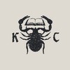 Логотип телеграм канала @chelifercancroides — Книжный Скорпион