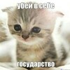 Логотип телеграм канала @chelovekotenok — человекотёнок
