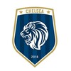 Логотип телеграм канала @chelseaacademy — Академия «Челси»