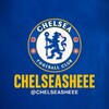 Telegram kanalining logotibi chelsi_chelseasheee — CHELSEASHEEE 🇺🇿