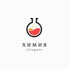 Логотип телеграм канала @chem_vitagorr — химия | vitagorr