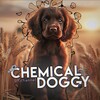 Logo of telegram channel chemicdogg — 𝗖𝗵𝗲𝗺𝗶𝗰𝗮𝗹.𝗱𝗼𝗴𝗴𝘆