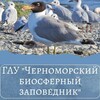 Логотип телеграм канала @chernomorskyzapovednyk — ГАУ "Черноморский биосферный заповедник"