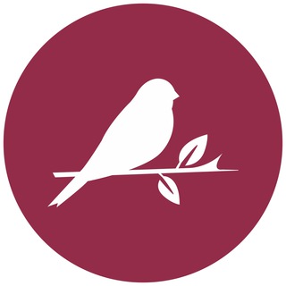 Логотип телеграм канала @cherry_canary — Вишневая канарейка маркетинга