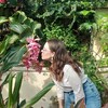 Логотип телеграм канала @cherry_plants — cherry_plants🌿