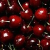 Логотип телеграм канала @cherryplum69 — Вишневый сад🔥