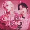 Логотип телеграм канала @cherubimhoney — cherubim honey || 𝐤𝐩𝐨𝐩-𝐬𝐡𝐨𝐩