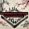 Логотип телеграм канала @chess_cards — Мотивационные карточки для шахматистов