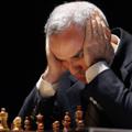 Logo saluran telegram chessdvdbooksprog — Chess,DVD,Books,Prog