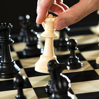 Логотип телеграм канала @chesstraining — Шахматы