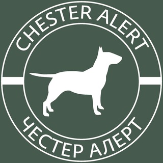 Логотип телеграм канала @chesteralert — Chester Alert