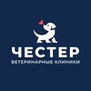 Логотип телеграм канала @chestervet — ЧЕСТЕР ветеринарные клиники СПб, Приморский р-н 24/7