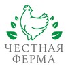 Логотип телеграм канала @chestnaya_ferma — Честная Ферма