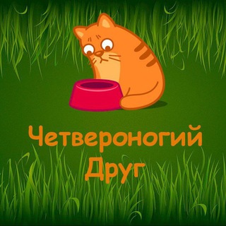 Логотип телеграм канала @chetveronogiy_drug — Четвероногий друг 🐶🐱