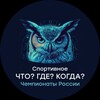 Telegram channel Чемпионаты России по ЧГК logo