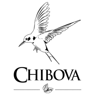 Логотип телеграм канала @chibova — CHIBOVA