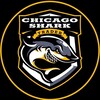 Логотип телеграм канала @chicagoshark — Chicago Shark Инвестиции в акции