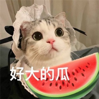 电报频道的标志 chigua_9 — 🍉吃瓜搞笑猎奇中心🌚