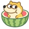 电报频道的标志 chiguavips — 🍉吃瓜大本营🍉
