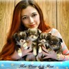 Логотип телеграм канала @chihuahua_stav — 🐶 Питомник Чихуахуа 🐶 Mon Plaisir de la Rossi