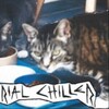 Логотип телеграм канала @chillerkiller — Serial Chiller