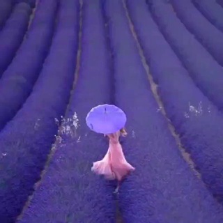 Логотип телеграм канала @chillout_relax — Relax | Релакс | 放松