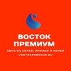 Логотип телеграм канала @china_edu_auto — VOSTOK PREMIUM Авто Заказ