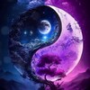 Логотип телеграм канала @china_novelss — Мир Китайских Новелл_Ы