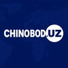 Telegram channel CHINOBOD/UZ logo