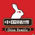 Logo saluran telegram chinagamble — China Gamble BSC / ETH