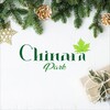 Telegram channel CHINARA PARK logo