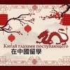 Логотип телеграм канала @chinaseyeisavailable — Китай глазами поступающего