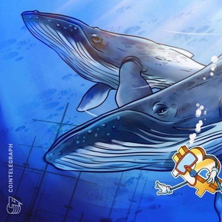 Logo of telegram channel chinese_crypto_whales — 🇨🇳 Chinese Crypto whales 🐋