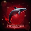 电报频道的标志 chinesemoonshotswhales — 💥 中文月光鯨魚ETH-SOL-BSC-AVAX @Chinesemoonshotswhales