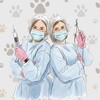 Логотип телеграм канала @chip_deil_vet — 🩵Чип и Дейл:ВетПомощь🩵