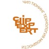 Логотип телеграм канала @chipexpert_msk — CHIP-EXPERT