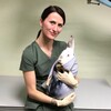 Логотип телеграм канала @chipolina_vet — Chipolina_vet