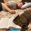 Логотип телеграм канала @chitayuschiykruzhok — Читающий кружок
