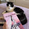 Логотип телеграм канала @chitclub_books — Chitclub | Книжный мир
