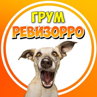 Telegram channel Грум РЕВИЗОРРО 📚 logo