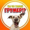 Логотип телеграм канала @chogroomer — Ты ЧО такой ГРУМЕР ⁉️